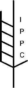 Logo IPPC